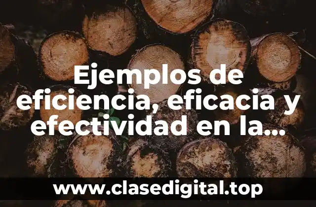 Ejemplos de eficiencia, eficacia y efectividad en la vida cotidiana