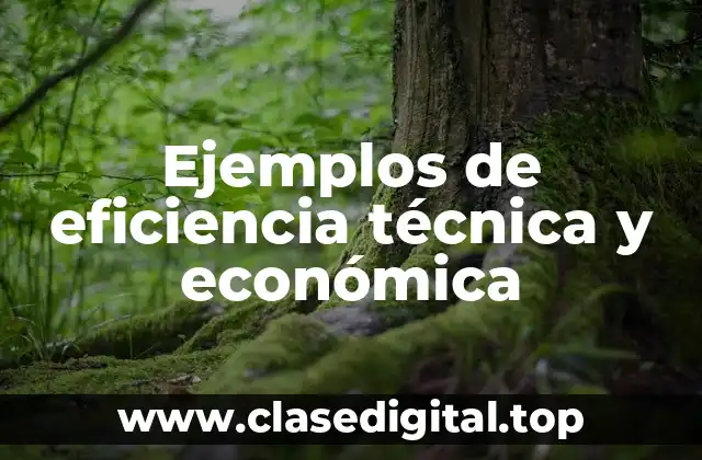 Ejemplos de eficiencia técnica y económica