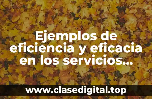 Ejemplos de eficiencia y eficacia en los servicios públicos