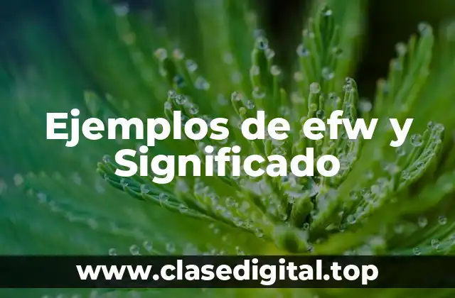 Ejemplos de efw y Significado