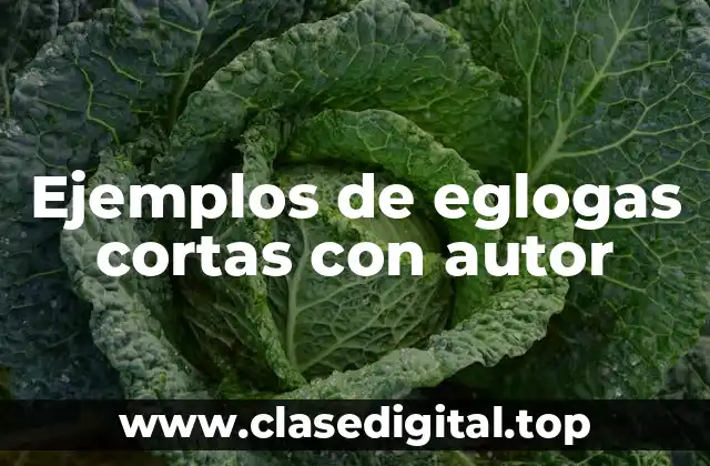 Ejemplos de eglogas cortas con autor