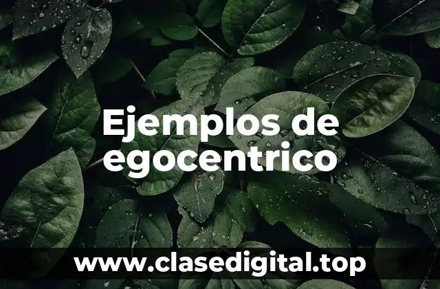 Ejemplos de egocentrico