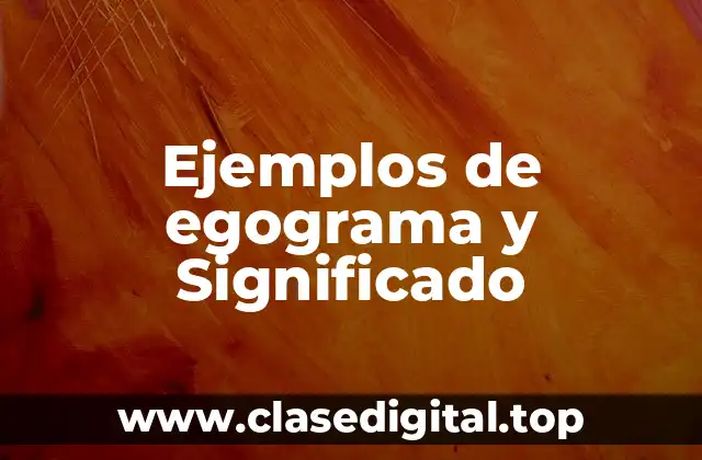 Ejemplos de egograma