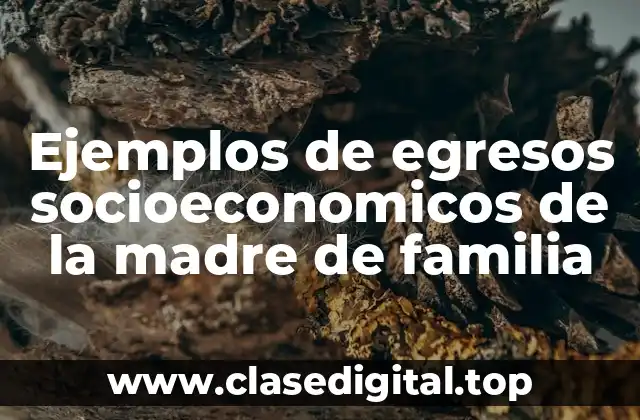 Ejemplos de egresos socioeconomicos de la madre de familia