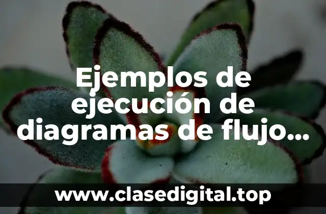 Ejemplos de ejecución de diagramas de flujo sencillos