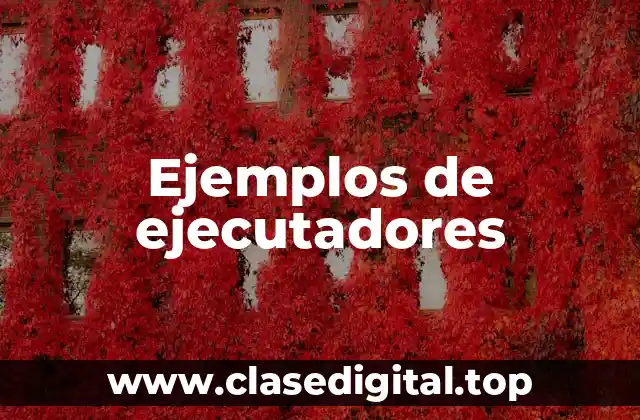 Ejemplos de ejecutadores