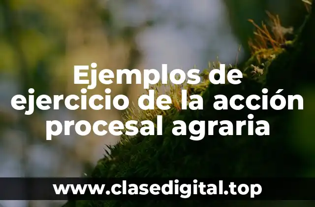Ejemplos de ejercicio de la acción procesal agraria