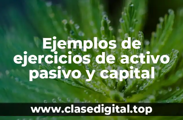 Ejemplos de ejercicios de activo pasivo y capital