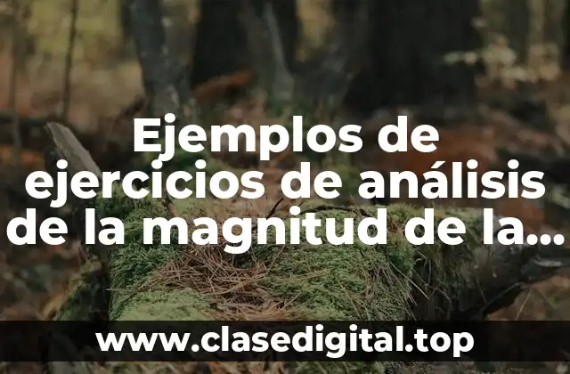 Ejemplos de ejercicios de análisis de la magnitud de la resultante y Significado