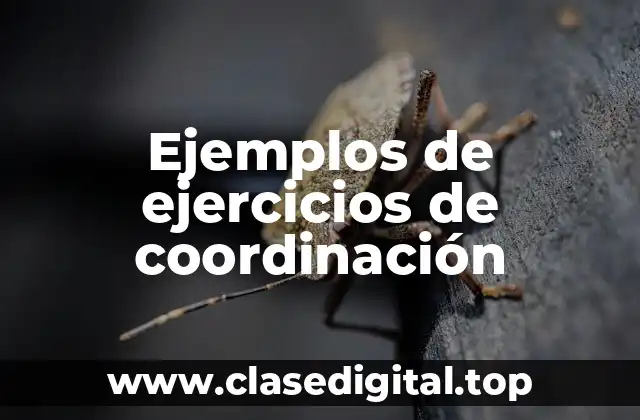 Ejemplos de ejercicios de coordinación