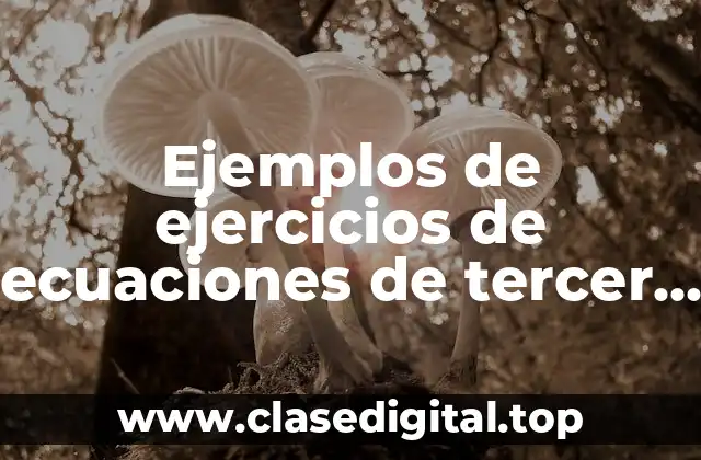 Ejemplos de ejercicios de ecuaciones de tercer grado