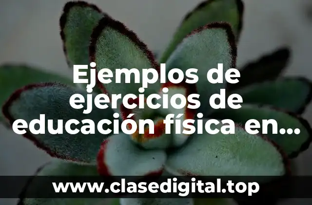 Ejemplos de ejercicios de educación física en distancia