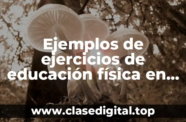 Ejemplos de ejercicios de educación física en fila
