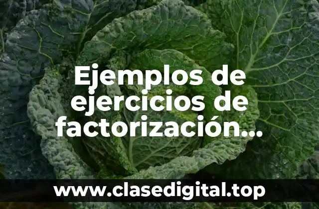 Ejemplos de ejercicios de factorización resueltos