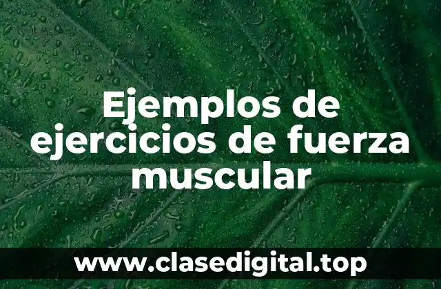 Ejemplos de ejercicios de fuerza muscular