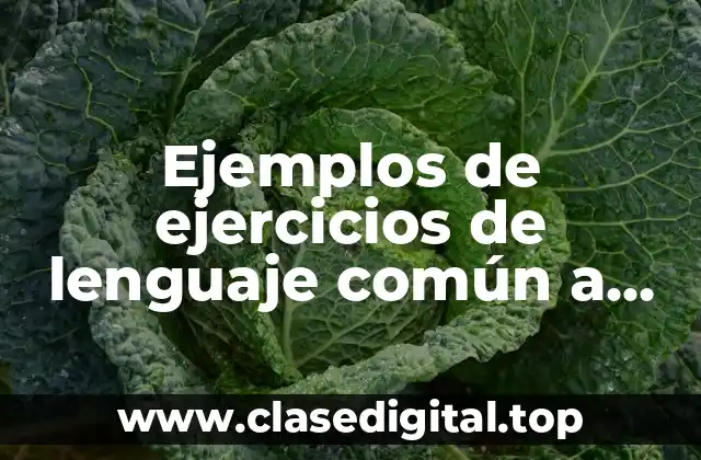 Ejemplos de ejercicios de lenguaje común a lenguaje algebraico y Significado