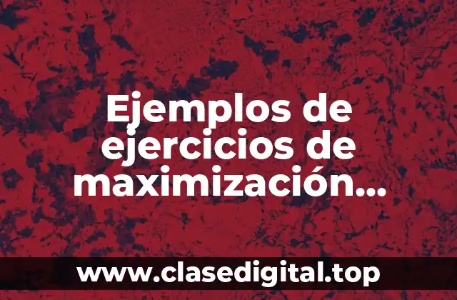 Ejemplos de ejercicios de maximización enunciado y modelo