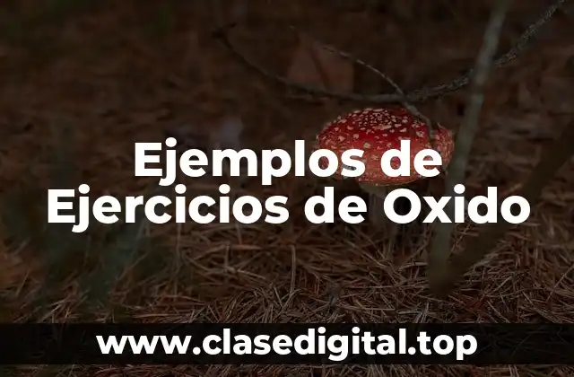 Ejemplos de Ejercicios de Oxido-Reducción