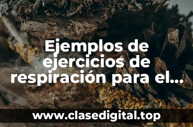 Ejemplos de ejercicios de respiración para el estres