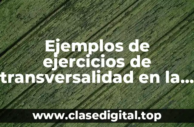 Ejemplos de ejercicios de transversalidad en la EMS