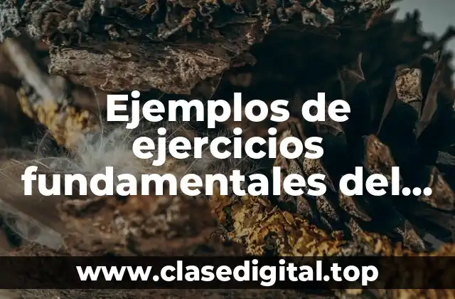 Ejemplos de ejercicios fundamentales del libro contar historias y Significado