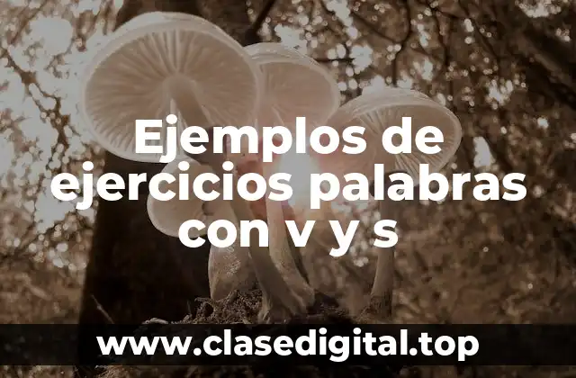 Ejemplos de ejercicios palabras con v y s