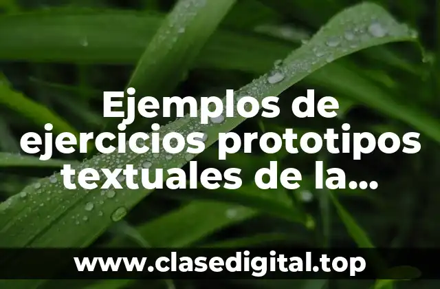 Ejemplos de ejercicios prototipos textuales de la redacción