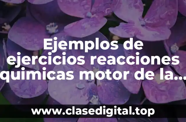 Ejemplos de ejercicios reacciones quimicas motor de la diversidad natural