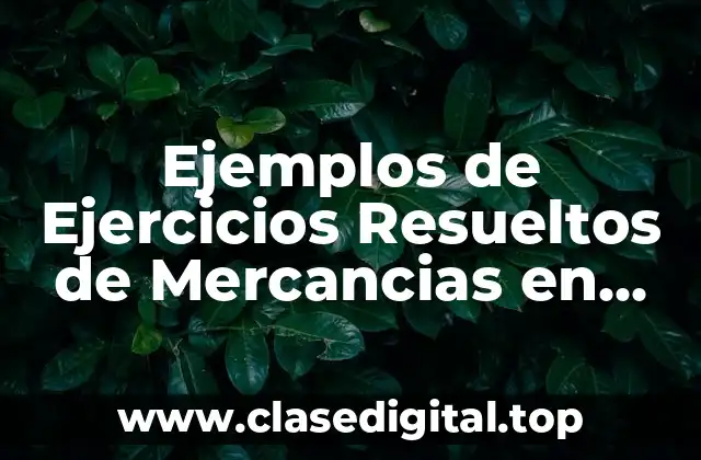 Ejemplos de Ejercicios Resueltos de Mercancias en Comisión