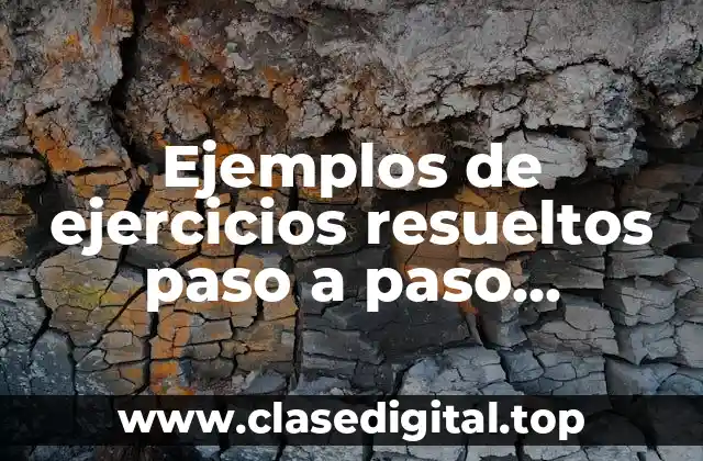 Ejemplos de ejercicios resueltos paso a paso componentes del sistema