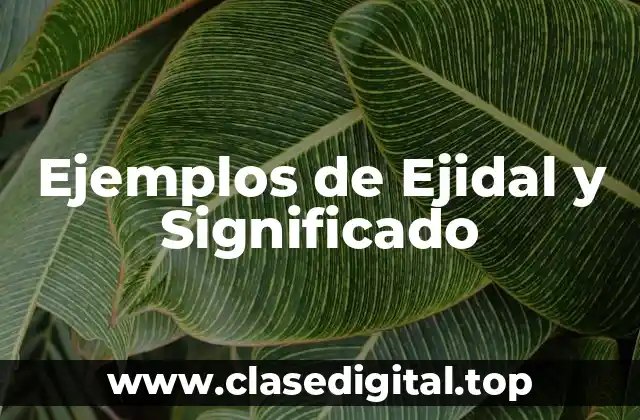 Ejemplos de Ejidales