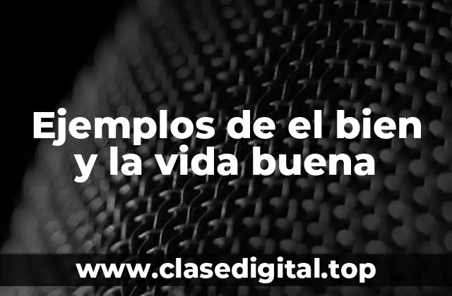 Ejemplos de el bien y la vida buena