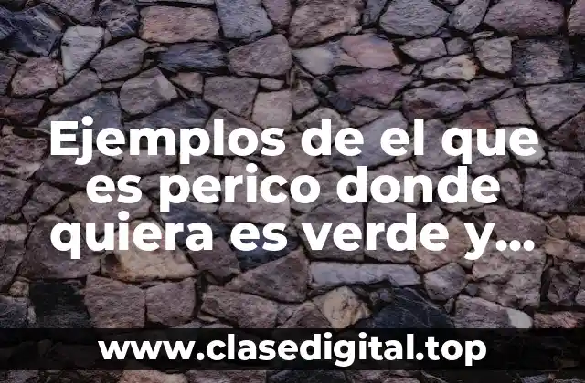 Ejemplos de el que es perico donde quiera es verde y Significado