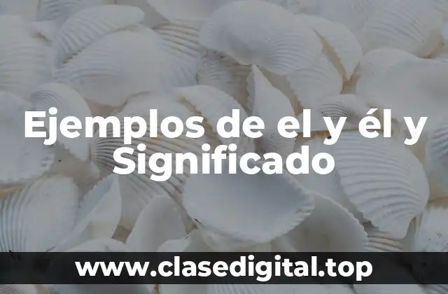 Ejemplos de el y él y Significado