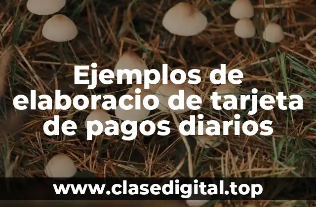 Ejemplos de elaboracio de tarjeta de pagos diarios
