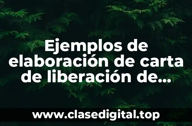 Ejemplos de elaboración de carta de liberación de vehículo