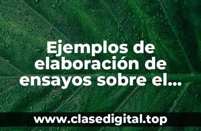 Ejemplos de elaboración de ensayos sobre el tema aviso