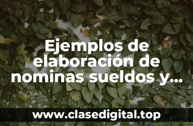 Ejemplos de elaboración de nominas sueldos y salarios