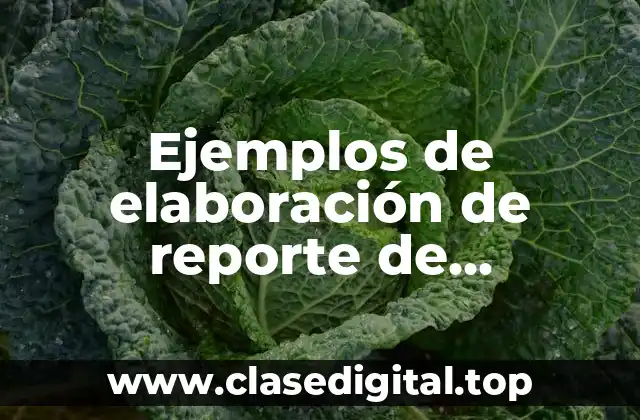 Ejemplos de elaboración de reporte de evaluación diagnóstica de primaria