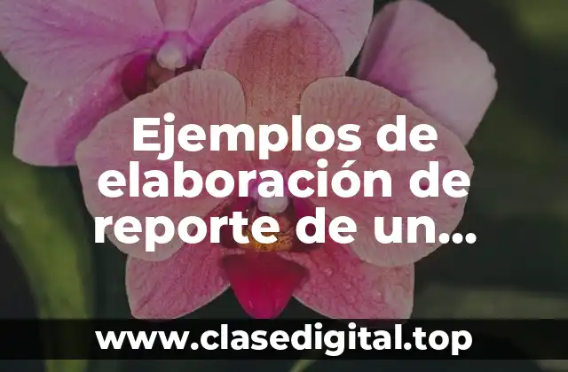 Ejemplos de elaboración de reporte de un proyecto