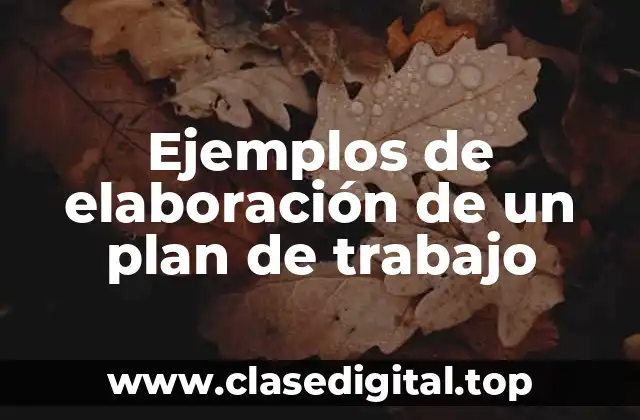 Ejemplos de elaboración de un plan de trabajo