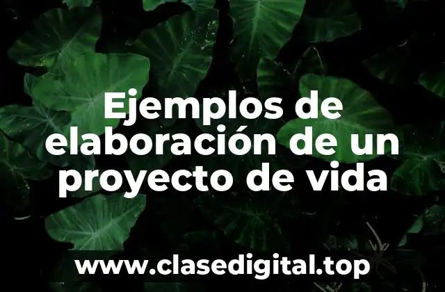 Ejemplos de elaboración de un proyecto de vida