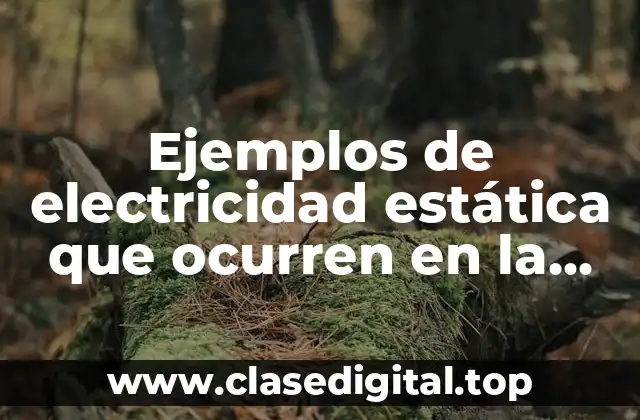 Ejemplos de electricidad estática que ocurren en la vida cotidiana