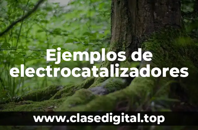 Ejemplos de electrocatalizadores