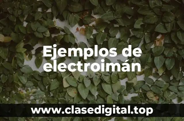 Ejemplos de electroimán