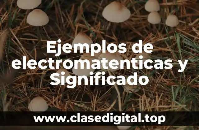 Ejemplos de electromatenticas y Significado