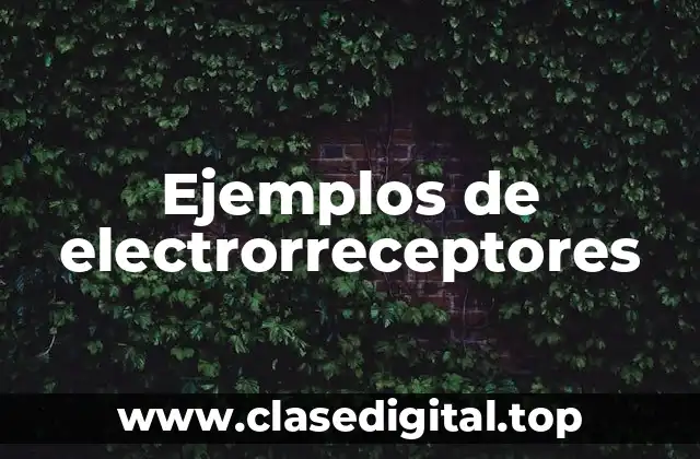 Ejemplos de electrorreceptores