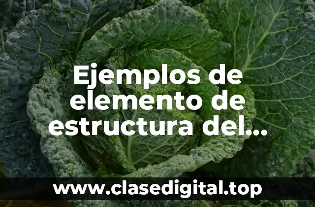 Ejemplos de elemento de estructura del espacio el plano