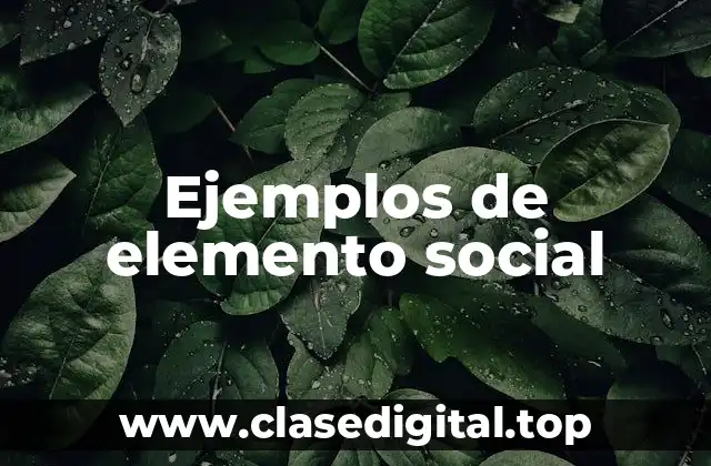 Ejemplos de elemento social
