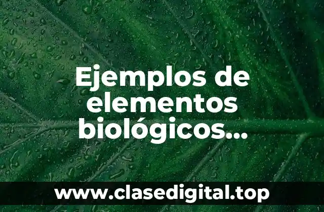 Ejemplos de elementos biológicos psicológicos y sociales del ser humano